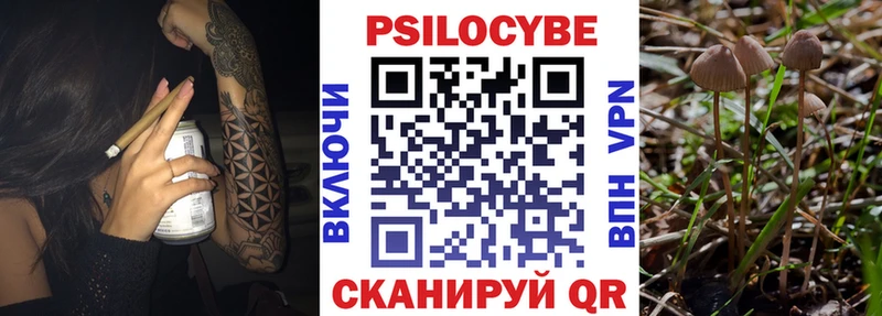 Псилоцибиновые грибы Magic Shrooms  Купить  Липки 